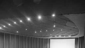 Random Fact of The Day!