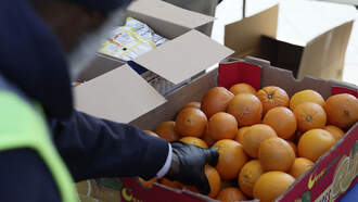 Mass Joins Lawsuit Over SNAP Funding Freeze