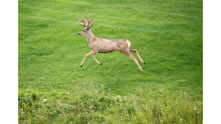 Rogers Charity Classic 2025 - Round One