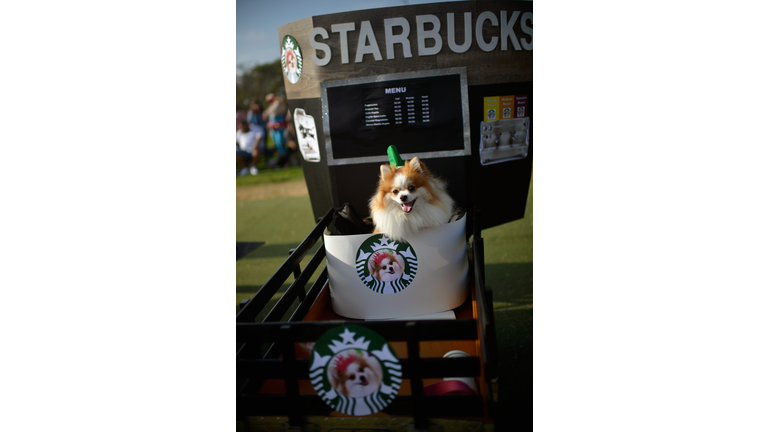 Haute Dog Howl'oween Parade