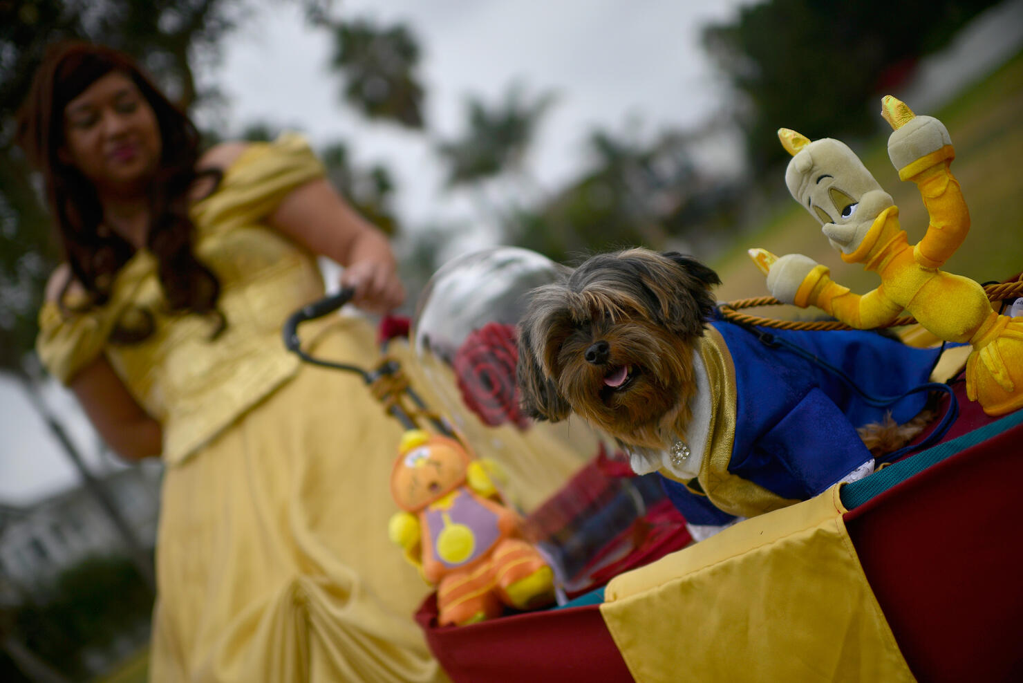 Haute Dog Howl'oween Parade