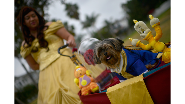 Haute Dog Howl'oween Parade
