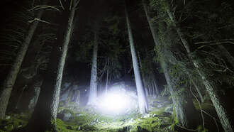 Economic Landscape / Rendlesham UFO Incident