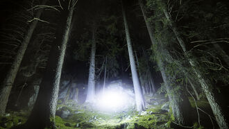 Economic Landscape / Rendlesham UFO Incident