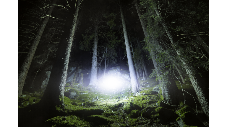 Economic Landscape / Rendlesham UFO Incident