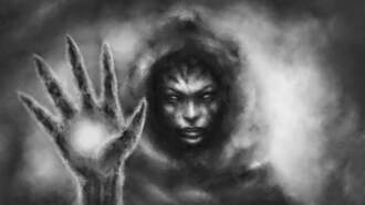 Out of the Mafia / Exploring Shapeshifters