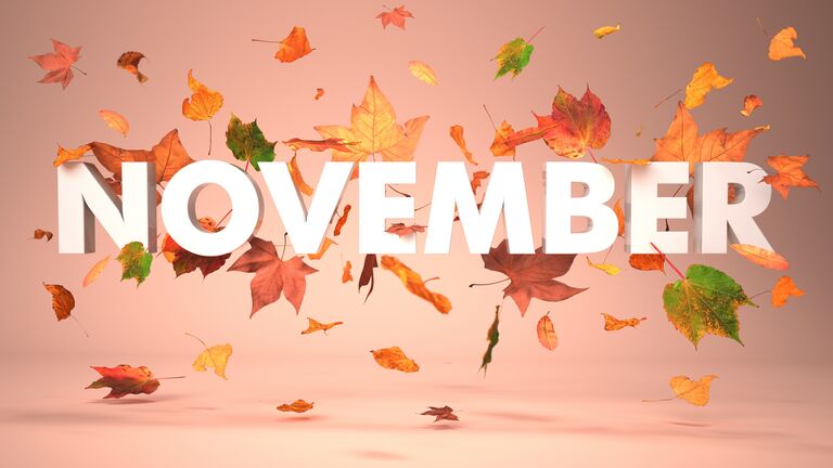 November Autumn Foliage