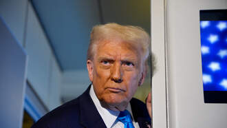 Trump Claims ICE Agents 'Haven't Gone Far Enough' Despite Violent Raids