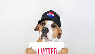 Chris Davis - Happy Election Day!