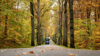 Allison Demers - End-of-Fall Activities 