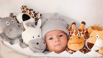 Steve & Gina in the Morning - Simple Moments That Brighten Your Day—Survey Says!