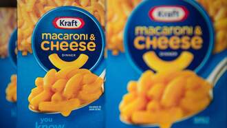 Apple Pie Mac & Cheese?: A Holiday Mash-up Worth Giving a Shot