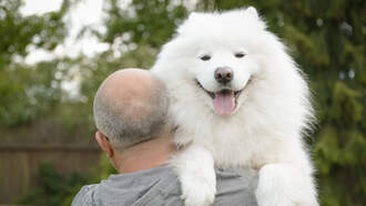 Your Daily Dog Video... big babies.  REALLY BIG babies!!