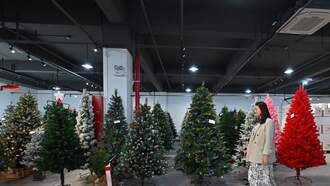 More American's are putting up multiple trees for Christmas