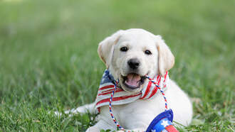 Happy National Civic Pride Day!