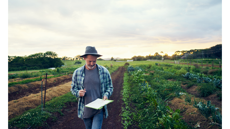 Doing his inspection rounds on the farm