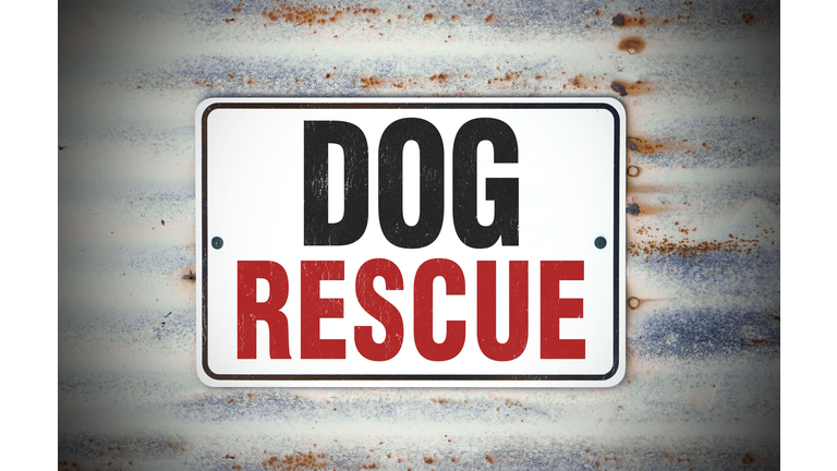 Dog Rescue