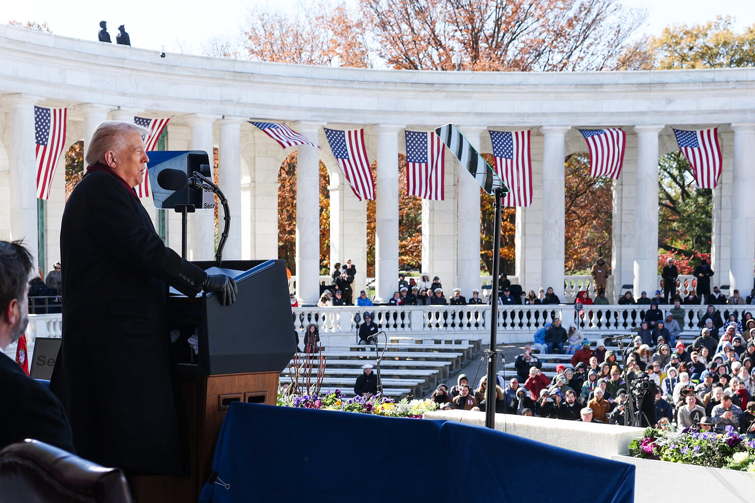 Veterans Day Honored At Arlington National Cemetery