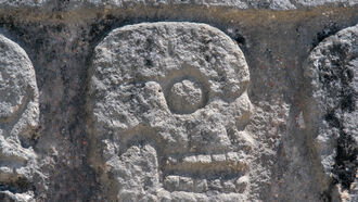 Ancient Human Origins