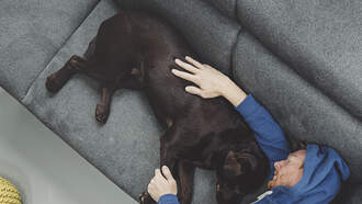 Ladies, ever feel like you lost your pup to your guy? Your Daily Dog Video