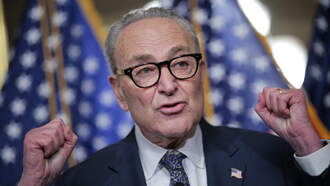 Schumer Faces Mounting Democrat Calls to Resign as Leader