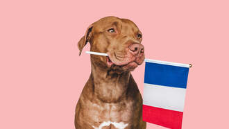 Happy National French Dip Day!