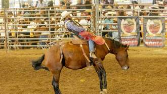 Here's The Answer To Win Tix To Colonial Life Arena Rodeo Friday Morning