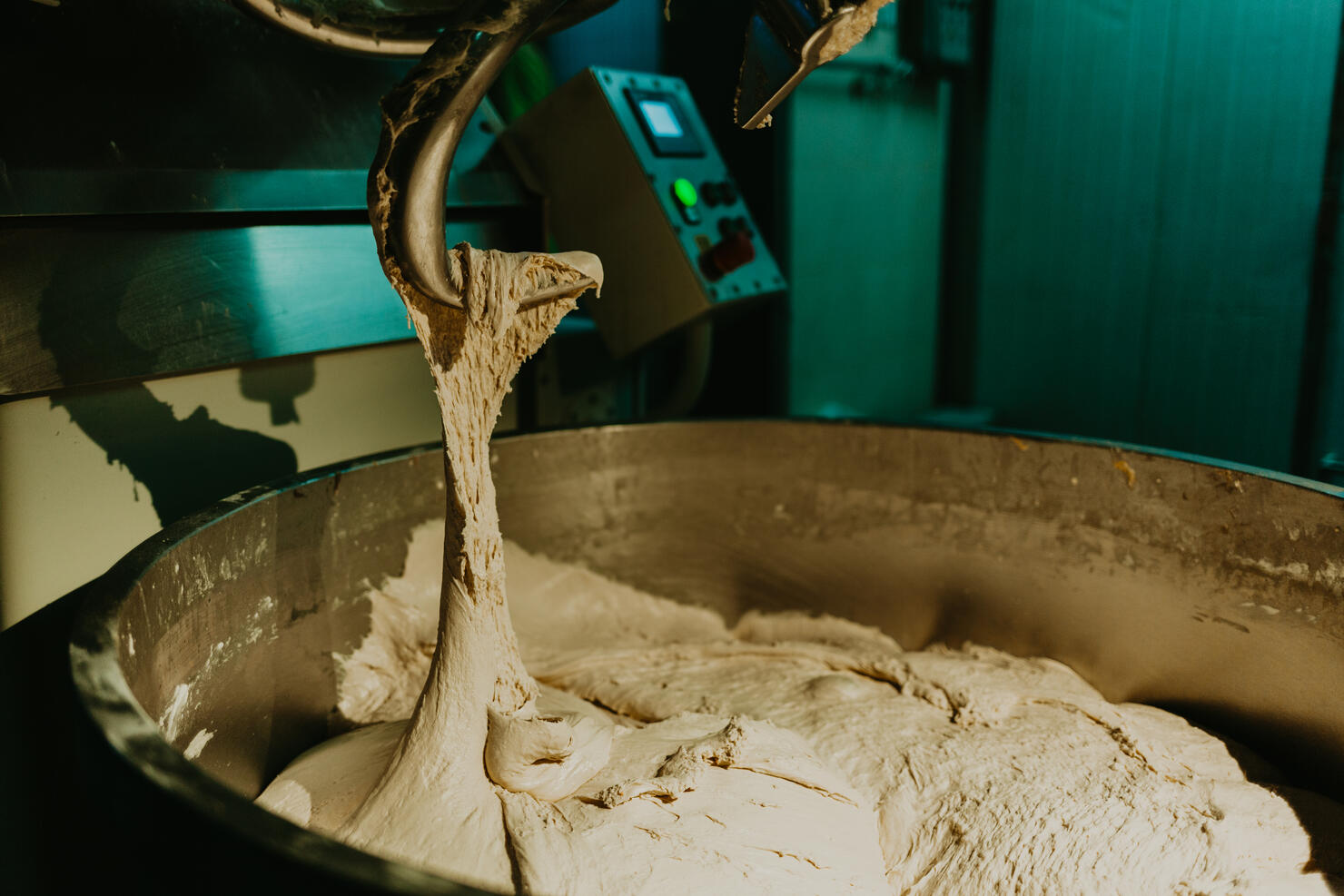 food processor to kneading dough for bread