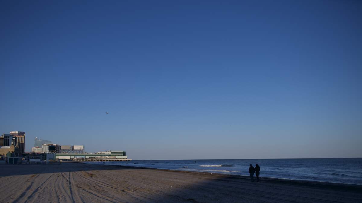 Non-Profit Tracks The Largest Great White Shark Ever Recorded