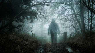 Food Freedom / Time Slips