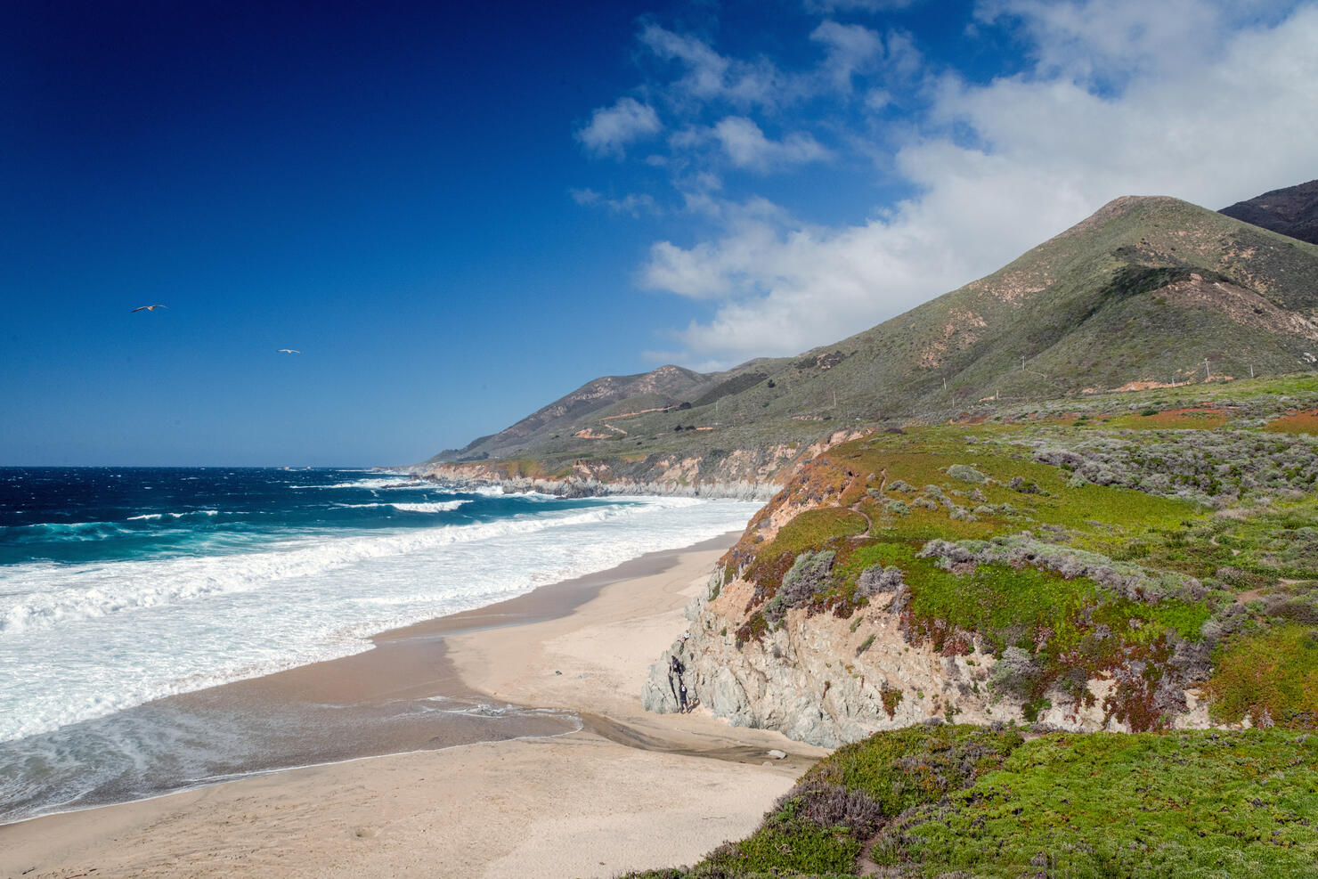 Garrapata Beach of Garrapata State Park