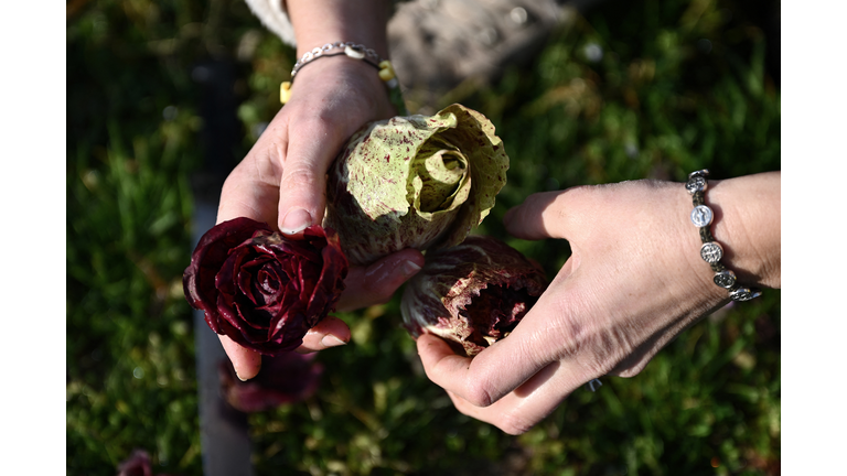 ITALY-ENVIRONMENT-POLLUTION-PFAS-CHEMICALS-TRIAL