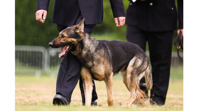 62nd National Police Dog Trials In Tulliallan