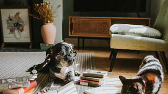 Chris Davis - Happy American Education Week!