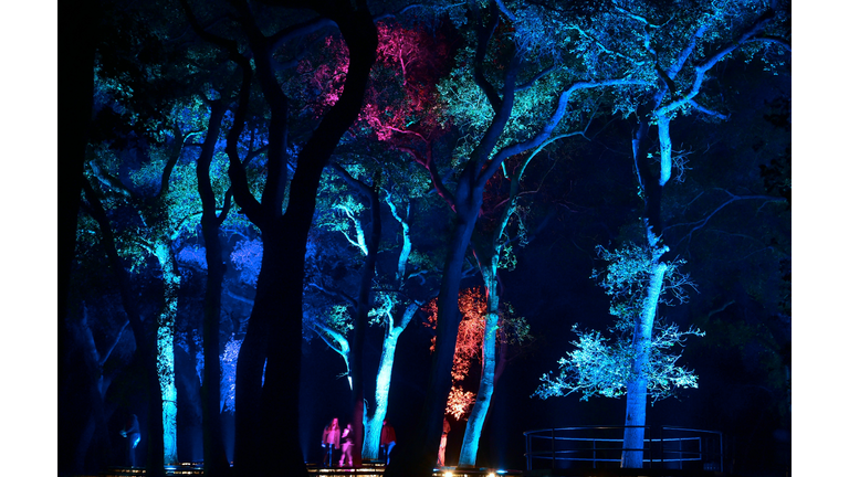 US-HOLIDAYS-FESTIVAL-LIGHTS