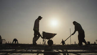 Random Fact of The Day! 