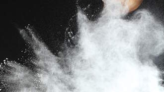 Your Daily Dog Video ... who did this??  