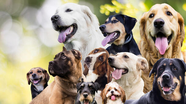 The Situation on Tuesday 11-18-25