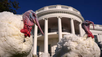 Butterball’s Three T’s For Cooking Your Thanksgiving Turkey 