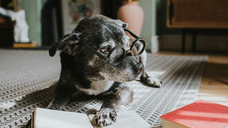 Chris Davis - Happy Entrepreneurs’ Day!