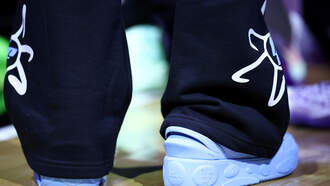 Hornets vs. Pacers Predictions, Odds & Stats – Nov. 19