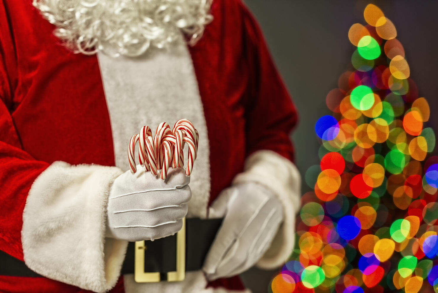 Santa Claus with a fist full of candy canes and bokeh from Christmas tree in the background