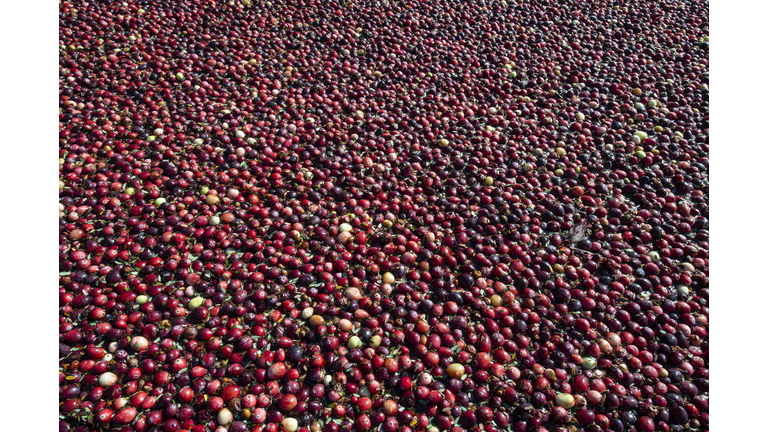 US-ENVIRONMENT-CLIMATE-AGRICULTURE