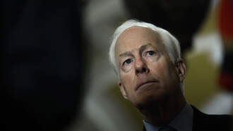 Texas' US Rep. Jassmine Crockett May Run Against Cornyn 