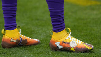 NFL FATHERS AND THEIR NFL SONS ARE PROFILED.  APPLES DON'T FALL FAR FROM...