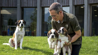 Florida Could Put More Teeth Behind Dog Breeding Bills