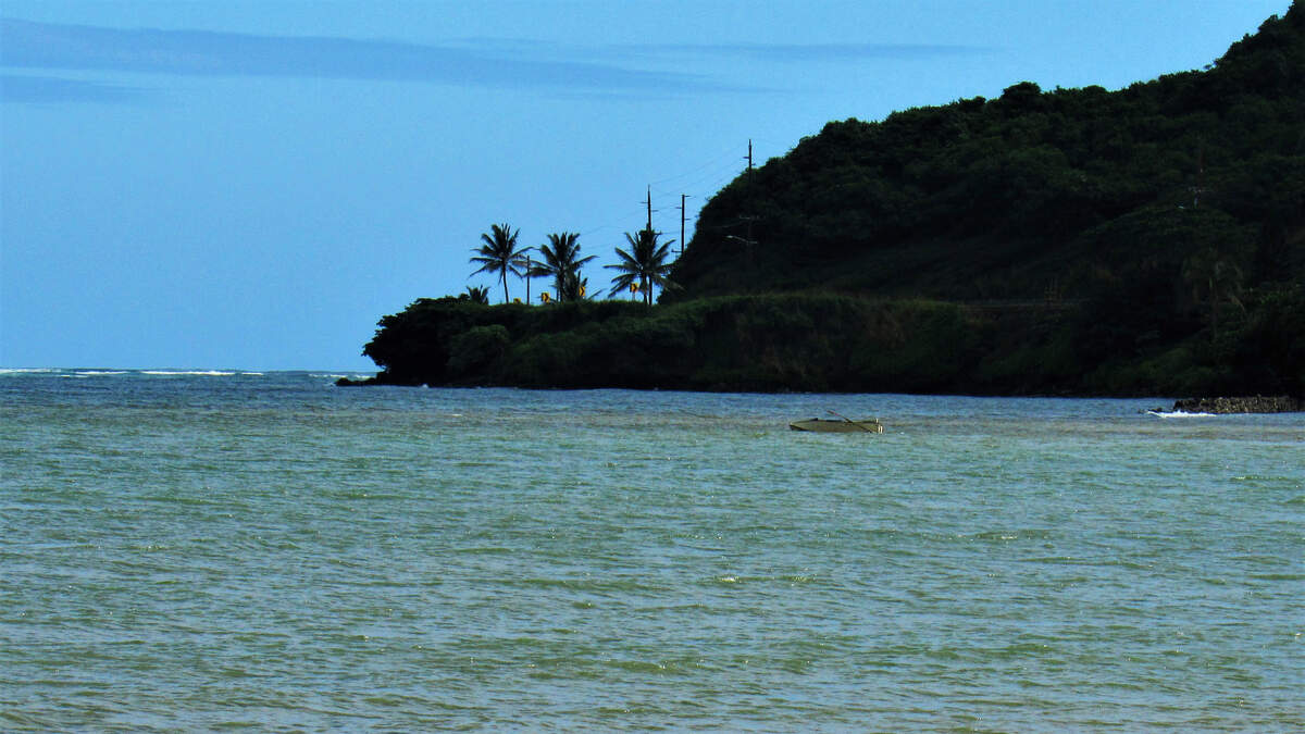 Navy Sailor Dies While Rescuing Kids From High Surf In Hawaii