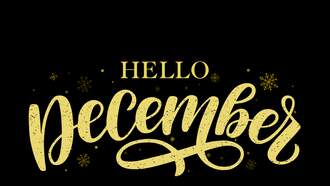 4 Things to Look Forward to in December