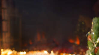 Thinking of giving a puppy for Christmas? Your Daily Dog Video