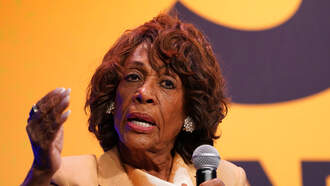 Waters Labels Trump 'Grinch Who Stole Christmas' Over Economic Policies